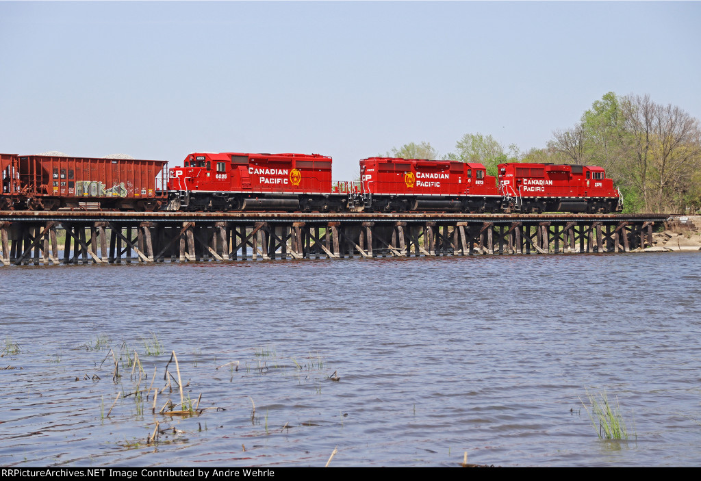 Beavers on the River